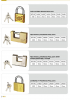 Die Cast Brass Padlock...