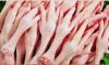 HALAL FROZEN WHOLE CHICKEN / FROZEN CHICKEN PAWS / FROZEN CHICKEN FEET