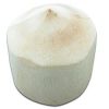 Trimmed Coconut