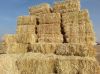 Wheat Straw, Wheat Hay...