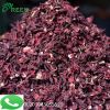 Hibiscus Flower  Sorrel