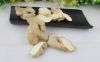 AD Dehydrated Dried Ginger Block/Whole with Good Quality and Low Price