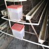 poultry layer farming equipment layer chicken battery cages for zimbabwe poultry farms