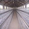 commercial plastic poultry used chicken cage for sale