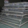 automatic breeding poultry farm cage design for big chickens