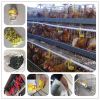 high quality cheap poultry farm best sale chicken layer cages in tanzania