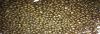 GRANULATED DI-AMMONIUM...