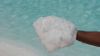 Rock Salt and Refined ...