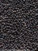 Quality Black pepper berries from malaysia, south east asia direct from farmers, spices, food, hu jiao