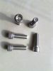 304 316 Stainless Steel Screw