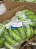 Vietnam Fresh Cavendish Bananas (+841214627828)