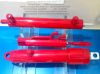 Hydraulic Cylinder for...