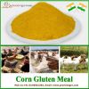 Corn Gluten