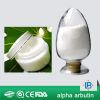 Natural Bearberry Alpha Arbutin for Whitening Skin 99%