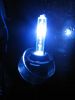 sell xenon lamp