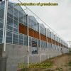 Construction of flower cultivation greenhouse