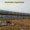 Construction of flower cultivation greenhouse