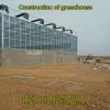 Construction of flower cultivation greenhouse