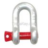 High quality bolt chain shacle US type forged safety chain shackle