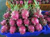 White Flesh Dragon Fruit