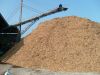 Rubber wood chip