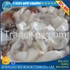 2017 New Coming Frozen Clean Giant Squid Neck