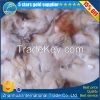 2017 New Coming Frozen Clean Giant Squid Neck