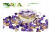 Purple Myosotis Sylvatica Flower Herbal Tea