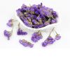 Purple Myosotis Sylvatica Flower Herbal Tea