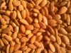 Almonds - Almond Nuts - Ships in Bulk/California Almond Nuts