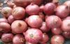 Export Quality Fresh Red & Yellow Onion