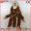 Plush Toys  Stuffed Monkeys