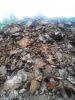 Iron and steel slag, waste metal