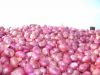 Fresh red Onion