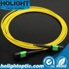 MPO Sm Fiber Optic Pat...