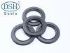 PTFE and H type spring activated seal