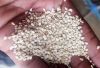 Sesame Seeds