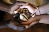 SPIRITUAL HEALER AND FORTUNE TELLER +27720748505