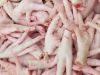 Export Quality of Premium Chicken feet and paws
