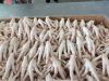 Export Quality of Premium Chicken feet and paws