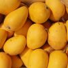 FRESH HONEY MANGOES FOR SALE