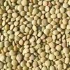 Red Lentils ( Whole An...