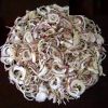 Dehydrated Onion Flakes