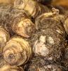fresh taro/eddo