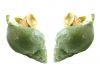hot sale high quality whelk, Jade Whelk (Canada), Wild frozen sea snail Whelk meat