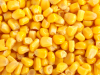 Canned Sweetcorn