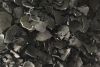coconut shell charcoal