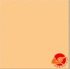Vietnam Terracotta Tile 300x300x12