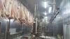 lamb and sheep meat 