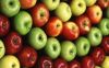 Fresh Apples &amp;...
